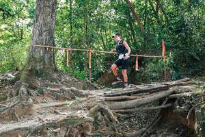 BIB: 
                            <button type="button" onclick="openModal(27802536)" class="btn btn-primary btn-sm float-right btn-popup" data-toggle="modal" data-target=".modal-high-quality">
                        <i class="fas fa-shopping-cart"></i> Add to Cart
                    </button>
                                            <button type="button" onclick="isThisMe(27802536, true)" class="btn btn-success btn-sm float-right btn-popup btn-isme hidden" data-toggle="tooltip" data-placement="bottom" title="นี่คือรูปของคุณใช่ไหม คลิกที่นี่เพื่อเอาเข้าอัลบั้ม">
                        <i class="fas fa-plus"></i> Add to album
                    </button>
                    <button type="button" onclick="isThisMe(27802536, false)" class="btn btn-warning btn-sm float-right btn-popup btn-isnotme hidden">
                        <i class="fas fa-ban"></i> Remove from album
                    </button>